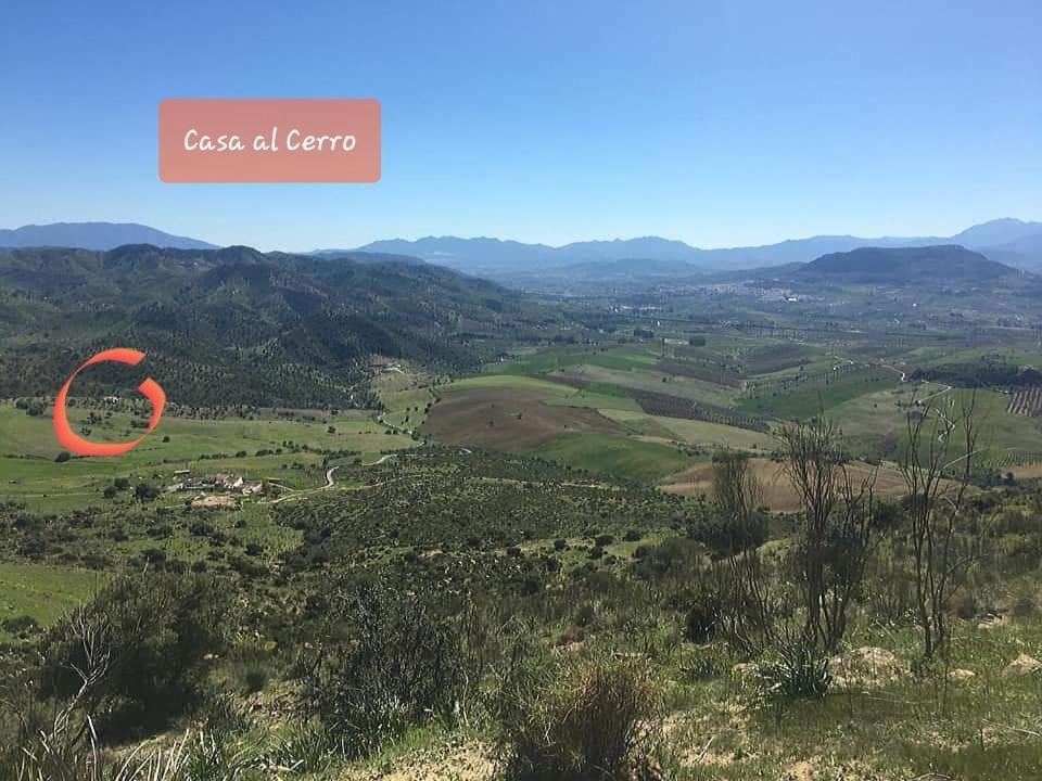 Апартаменты Casa Al Cerro Эль-Чорро Экстерьер фото